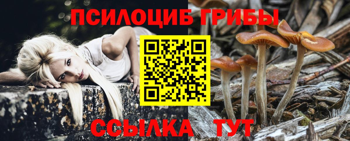 Галлюциногенные грибы Psilocybine cubensis  Вход с VPN  Галлюциногенные грибы ЛСД  Новороссийск 